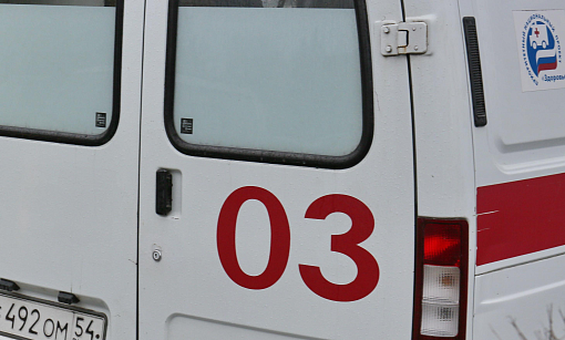 Штормовой ветер повалил деревья в Новосибирске: есть пострадавшие