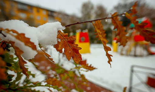 Именами прославленных новосибирцев назвали три улицы в Клюквенном
