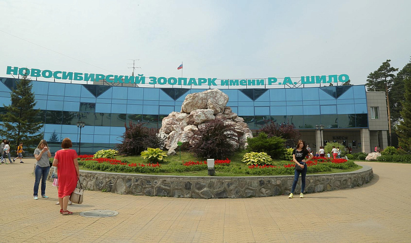 Красавица с голубыми глазами: зоопарк показал подросшего леопарда Хлою