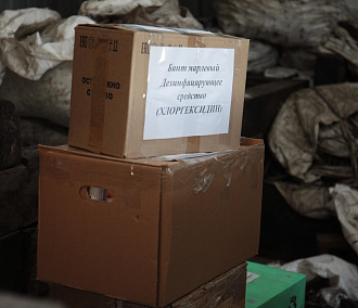 Вязаные носки, бельё и медикаменты отправят из Новосибирска в зону СВО