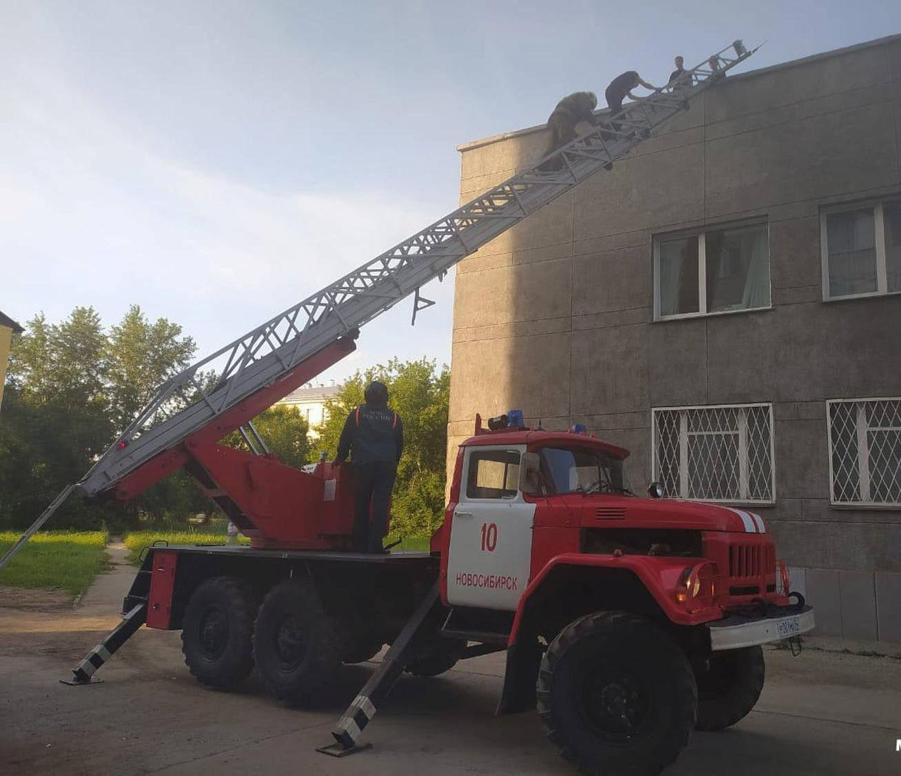 Троих подростков сняли с крыши здания в Новосибирске