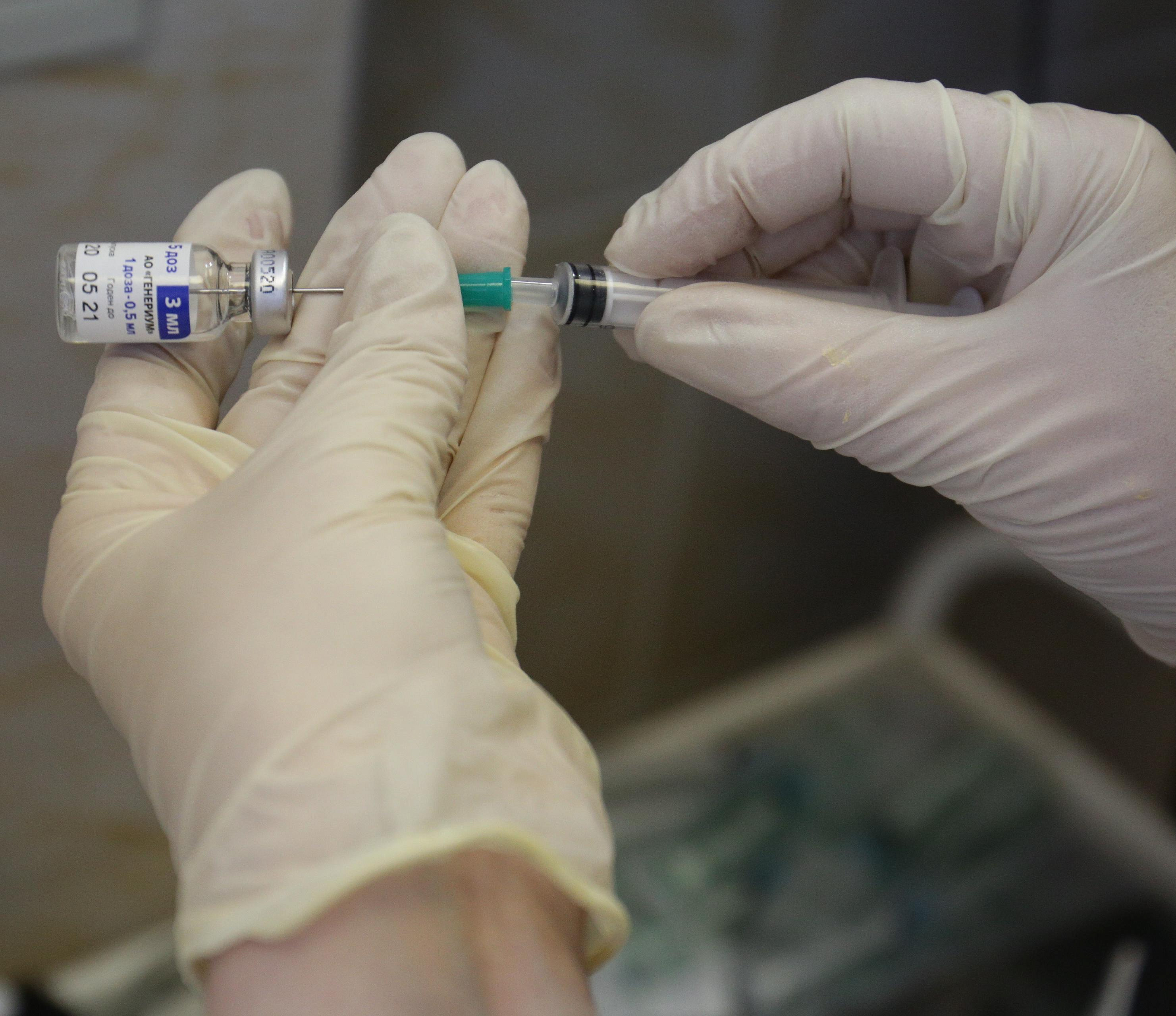 Новосибирские учёные готовы к испытаниям новой вакцины от свиного гриппа