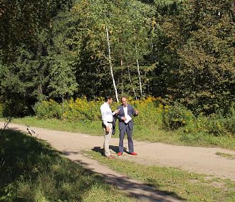 Новые дорожки, фонари и деревья: в Новосибирске реконструируют дендропарк
