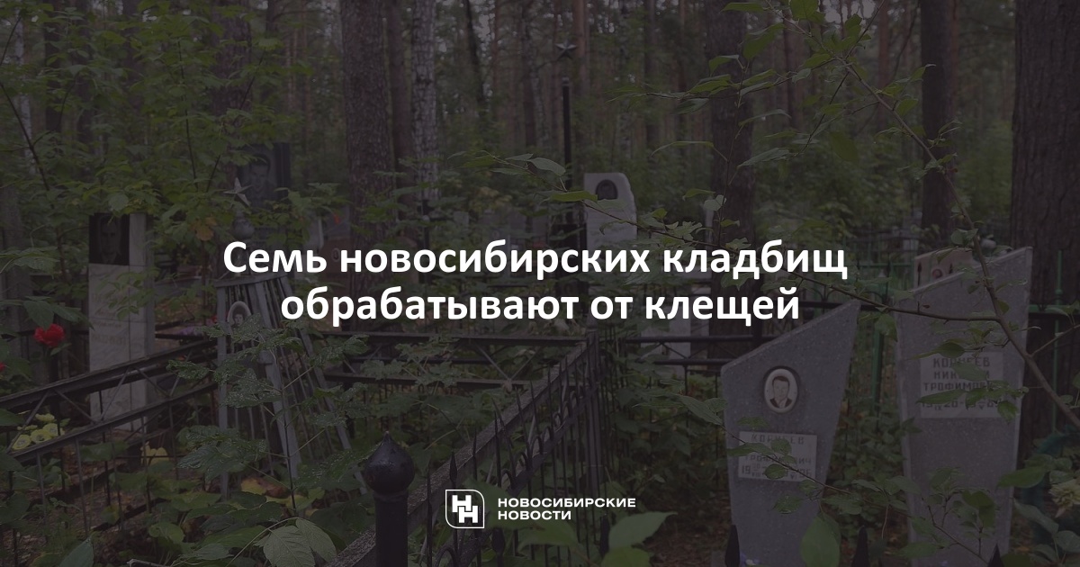 Кладбище клещиха новосибирск карта