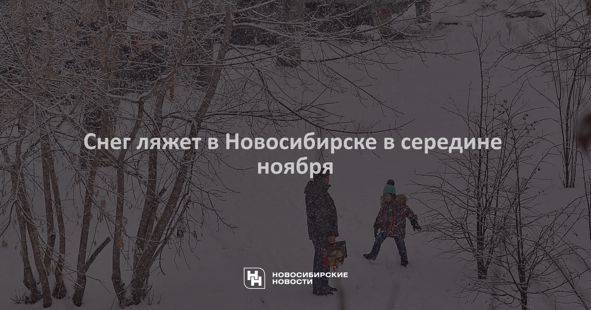 Когда ляжет снег. Когда в ноябре ляжет снег.