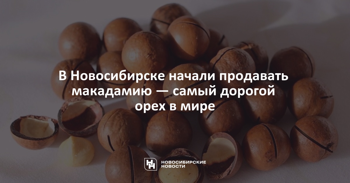 Почему макадамия самый дорогой. Самый дорогой орех в мире макадамия. Орех дорогой макадамия в магните. Орех на дороге продают. Самый острый орех в мире.