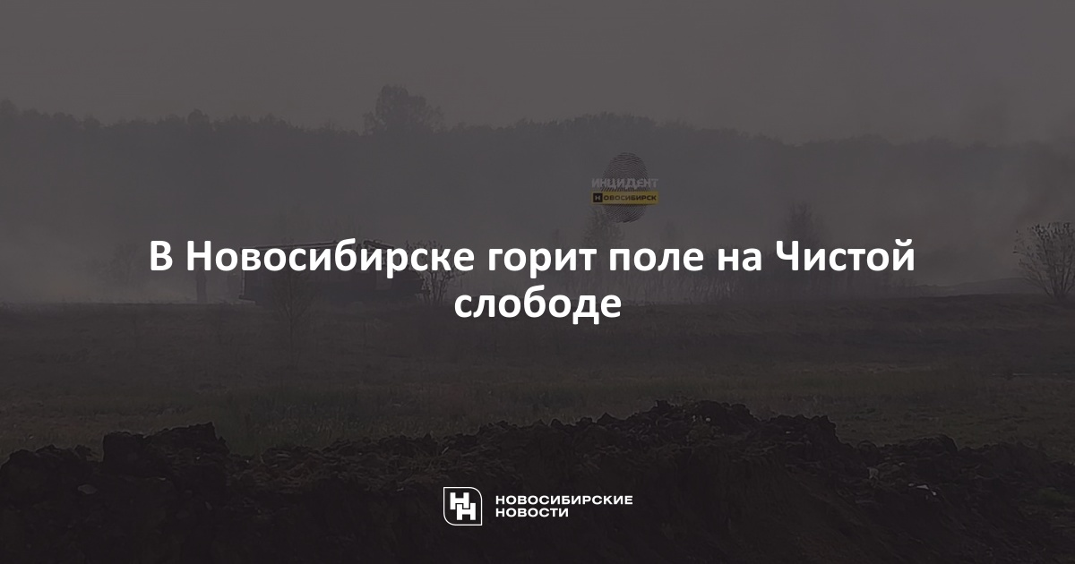 В Новосибирске горит поле на Чистойслободе