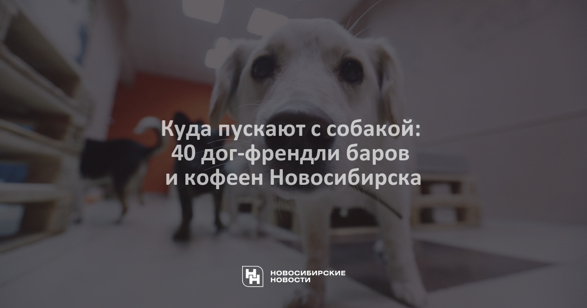 Заведения куда не пускают собак.