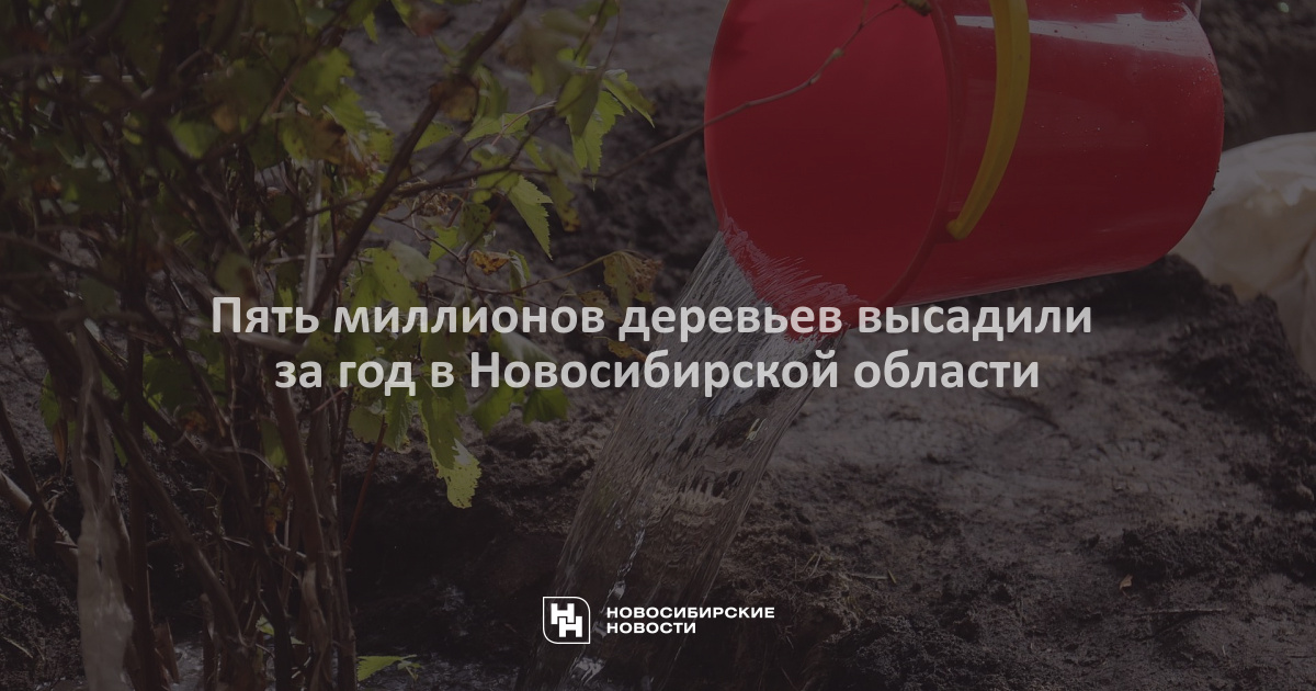 Слоган на новый год 2023. Девиз. Девизы 2023. Девиз отряда орлята. Девизы 2023.