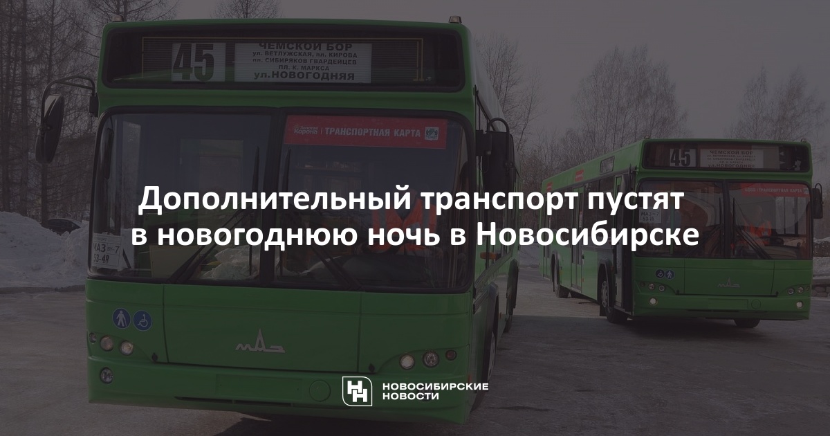 Электричка новогодняя речной вокзал